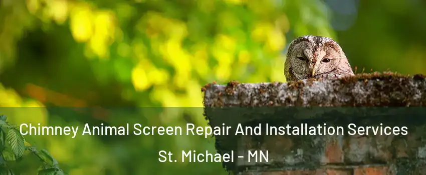  Chimney Animal Screen Repair And Installation Services St. Michael - MN