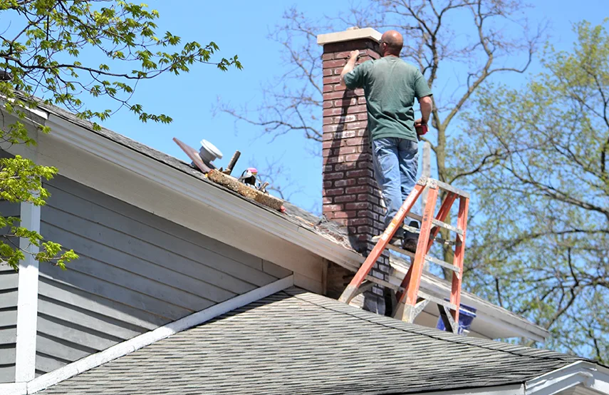 Chimney & Fireplace Inspections Services in St. Michael, MN
