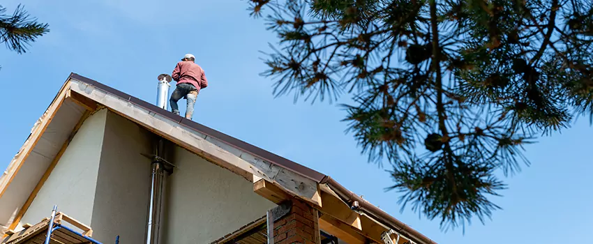 Birds Removal Contractors from Chimney in St. Michael, MN